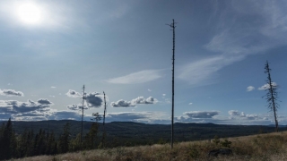 Siljansleden-46