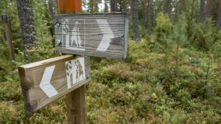 Siljansleden-66