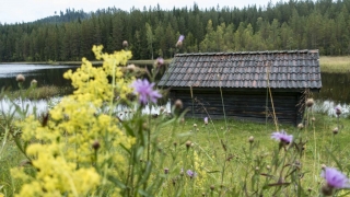 Siljansleden-87