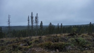 Siljansleden-S.-Gaberget