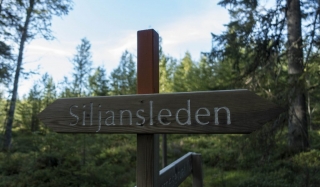 Siljansleden-Wegweiser