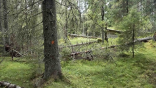 Siljansleden-Windschutz-Risberg