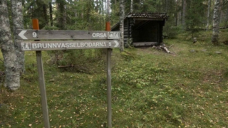 Siljansleden-Windschutz-hinter-Viborg-4