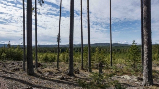 Siljansleden_12