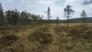 Siljansleden_84
