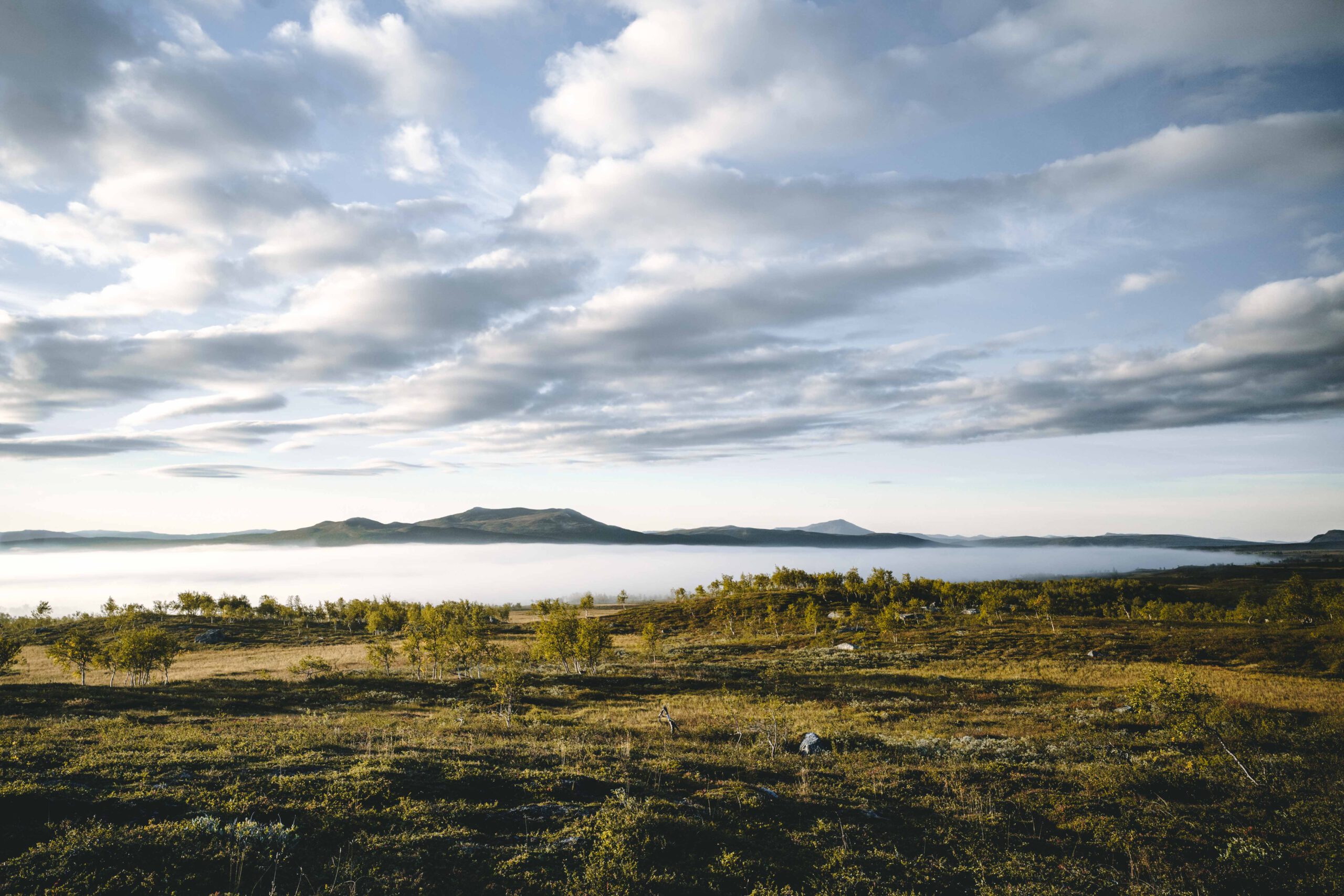 Kungsleden Hemavan Ammarnäs